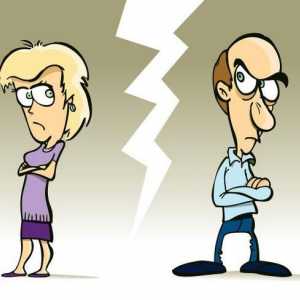 Procedurile de divorț și consecințele acesteia. Cât durează divorțul?