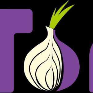 Browserul `Thor`: recenzii, caracteristica software-ului pentru anonimatul în rețea