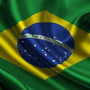 Steagul brazilian: descriere generală, simbolism și istoric al apariției