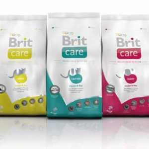 `Brit `- mâncare pentru pisici. De ce să alegeți?