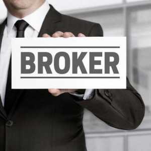 Companii de brokeraj în Moscova: rating, lista celor mai bune. Firme de broker-broker, Moscova:…