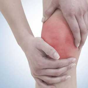 Bubnovsky: genunchii mă doare - ce ar trebui să fac? Descrierea și tratamentul