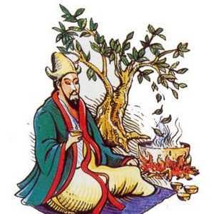 Ceaiul "Kudin" și proprietățile sale