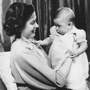 Charles Prințul Țării Galilor: biografie, fotografie