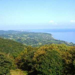 Sectorul privat din Abhazia - fotografii și recenzii ale turiștilor