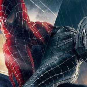 Spiderman 3: Inamicul în reflecție. Actori și roluri, complot