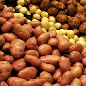 Ce este bogat în cartofi? Valoarea nutritivă și efectul acesteia asupra corpului nostru