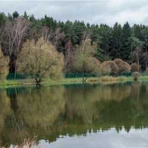 Ce este interesant pentru Parcul forestier Bakov pentru turiști?