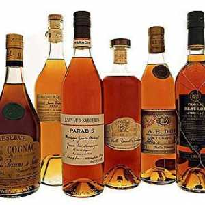 Care este diferența dintre coniac și brandy? Care este mai bine: coniac sau brandy. Tipuri de…