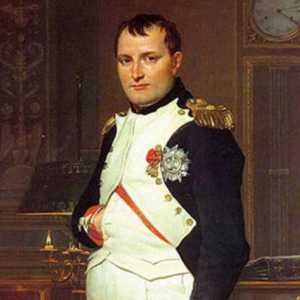 Cum putem explica compoziția multinațională a armatei lui Napoleon: cauze și consecințe
