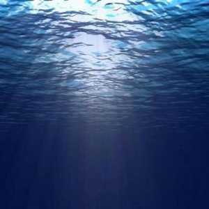 Care este diferența dintre curenții oceanici și valuri? Natura și posibilitățile acestor fenomene