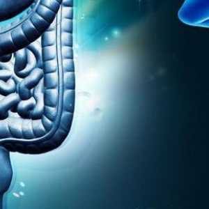 Ce determină peristaltismul invers al intestinului?