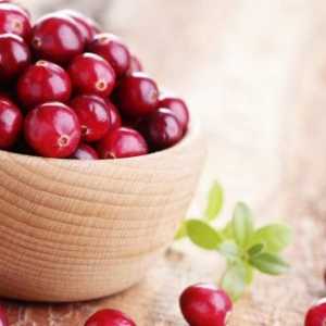 Care este utilitatea cranberries pentru organism?
