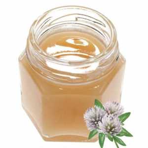 Ce este unic despre mierea de miri? Proprietăți utile și compoziție chimică