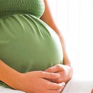 Ce trebuie să faceți în concediul de maternitate? Opțiuni de greutate
