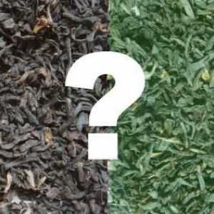 Ce ceai verde este diferit de negru: proprietăți utile, caracteristici ale colectării și…