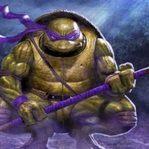 Turtle-ninja Donatello: aspect, arme, natură