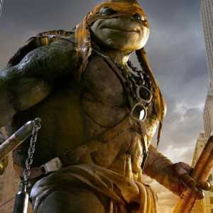 Ninja Turtles Michelangelo: fotografie, costum, arme