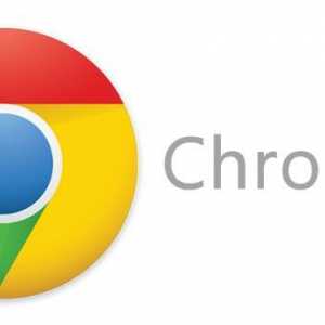 Plugin-uri Chrome: activați și dezactivați pluginurile