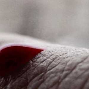 Ce se întâmplă dacă beți sânge? Vom afla!