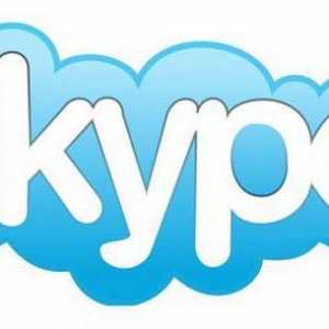 Ce ar trebui să fac dacă Skype nu este instalat pe Windows 7?
