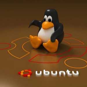 Care este mai bine - Xubuntu sau Lubuntu? Expert Opinii