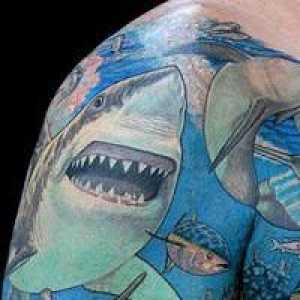 Ce inseamna tatuajul `Shark`?