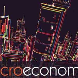 Ce este macro și microeconomia?