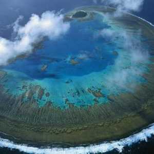 Ce este un atol? Structura și etapele educației