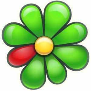 Ce este ICQ? Cum se instalează ICQ pentru Windows sau Android
