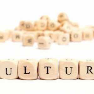 Ce este culturologia? Relația dintre culturologie și alte științe