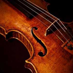 Ce este o vioară? Structura și funcțiile vioară