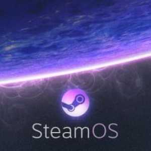 Ce este Steam? Instalare și utilizare