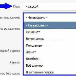 Ce este VKontakte SP și cum se instalează