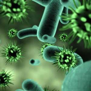 Ce sunt virușii? Biologie: tipuri și clasificare a virușilor