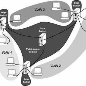 Ce sunt VLAN-urile? un VLAN