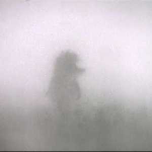 Ce vede ariciul în ceață? Filozofie pe tema desenelor animate