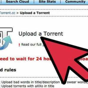 Ce înseamnă "distribuit în torrent"? Instrucțiuni pentru utilizatori
