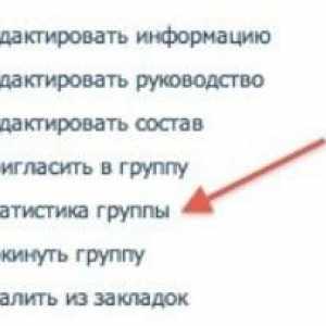 Ce înseamnă "vizitatori unici" la "VKontakte"? Cum să vezi vizitatori unici