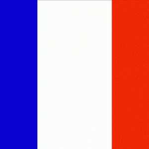 Ce au brațele și steagul Franței