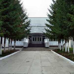 Universitatea de Stat din Chuvash numită după I.N. Ulianov. Adresa universității cecene de stat