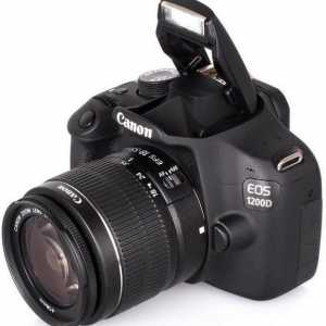 Camera digitală Canon 1200D: recenzii ale profesioniștilor și concluzii