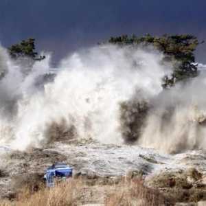 Tsunami în Japonia: cauze, consecințe, victime