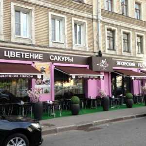 `Цветение сакуры`, ресторан на `Маяковской` в Москве: отзывы