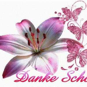 `Danke shon`: traducere din limba germană și exemple de utilizare