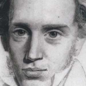 Filosoful danez Kierkegaard Seren: biografie, fotografie