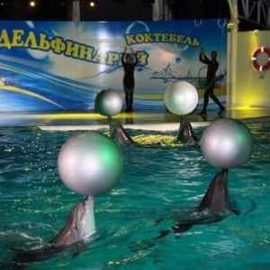 Dolphinarium în Koktebel - un loc interesant