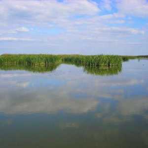 Delta din Volga: scurgere principală și informații generale