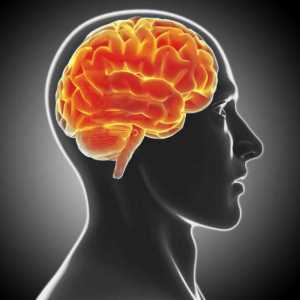 Demyelinizarea bolii cerebrale: tratament, predicții, simptome