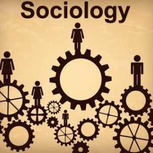 Ziua sociologului: când a apărut și cum sărbătorim